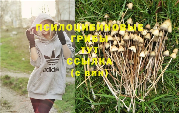 герыч Балахна